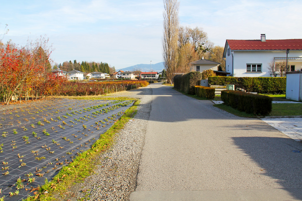 Feldweg2_JPG-1358008679