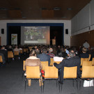 IMG_4362_JPG-1358018350