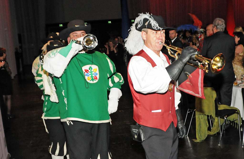 Altprinzenball 11-01-2013 71_jpg-1358021571