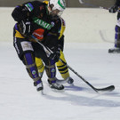 IMG_0472_jpg-1358026245