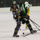 IMG_0554_jpg-1358026396
