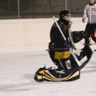 IMG_0730_jpg-1358026669