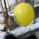 DSCN2158.jpg