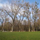 Kaiserstrand mit Badehaus 2013 _25__jpg-1358073745