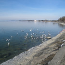 Kaiserstrand mit Badehaus 2013 _22__jpg-1358073730