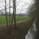 hochwasserschutzprojekt rheintalbinnenkanal-14_jpg-1358088628