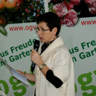 DSC07956_JPG-1358098995