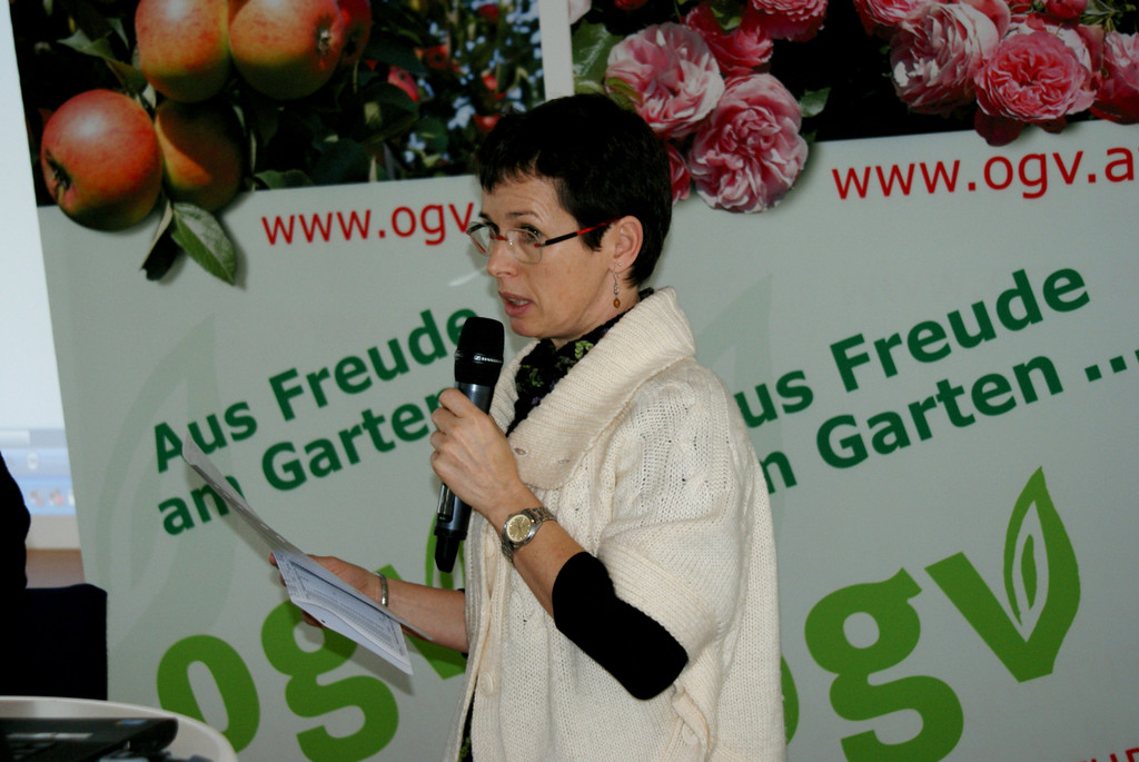 DSC07956_JPG-1358098995