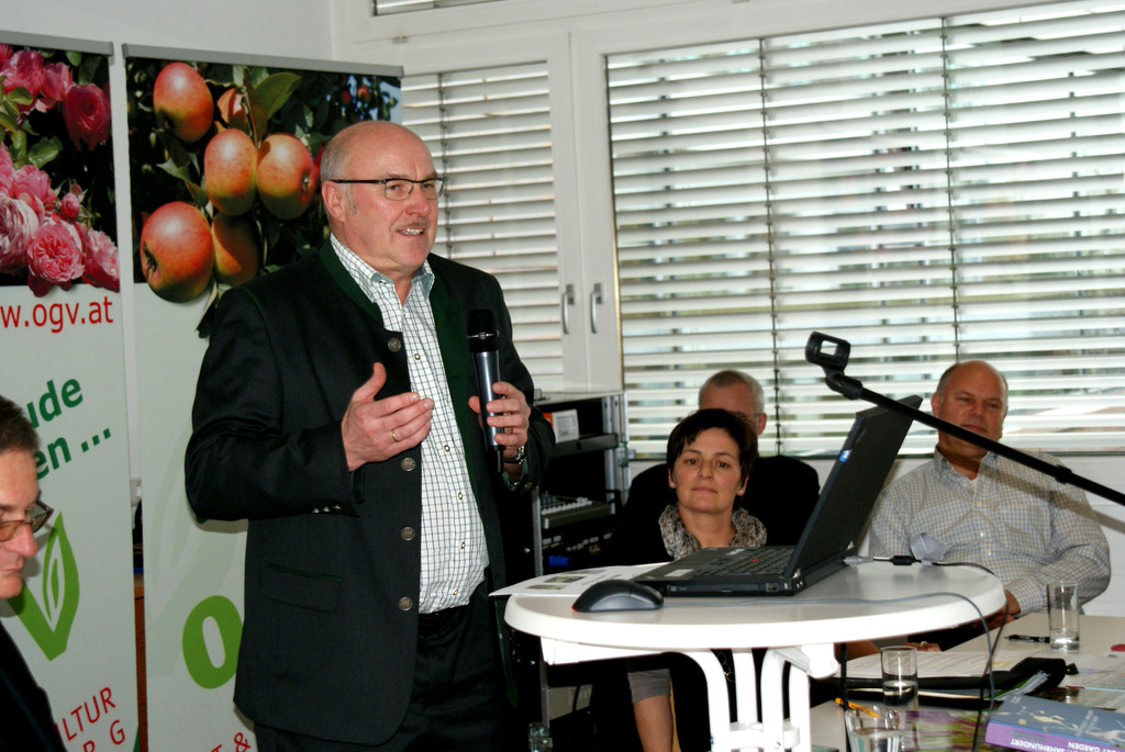 DSC07962_JPG-1358099041