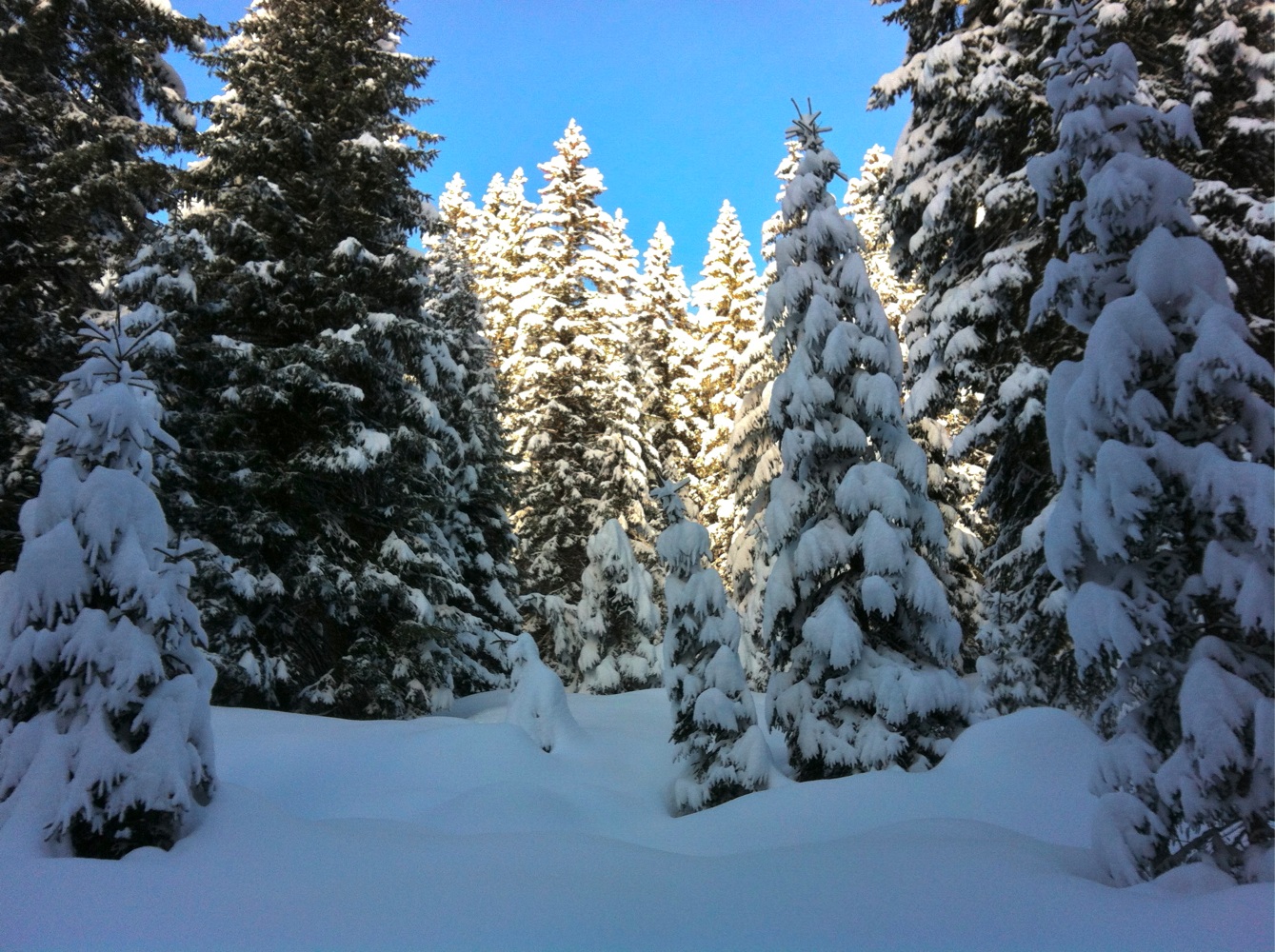 BK_Schneeschuhwandern_Laterns_Gapfohl 18_jpg-1358101224