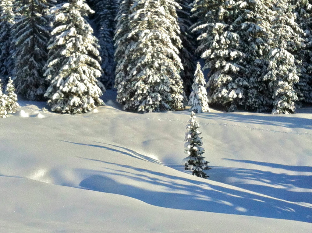 BK_Schneeschuhwandern_Laterns_Gapfohl 20_jpg-1358101247