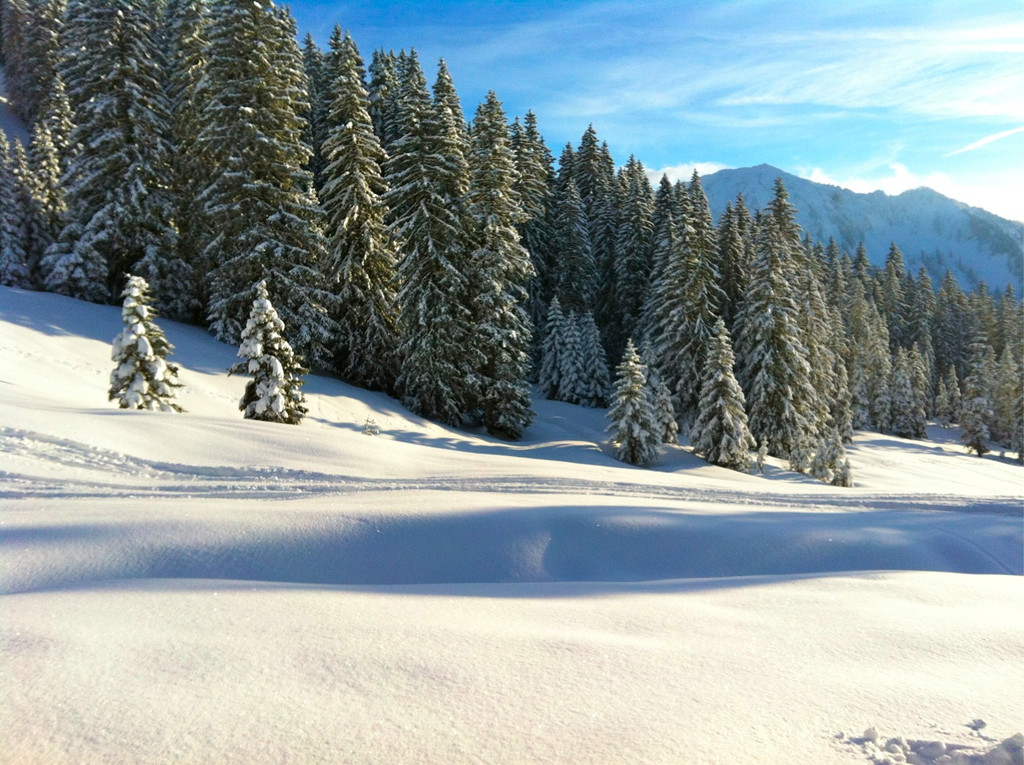 BK_Schneeschuhwandern_Laterns_Gapfohl 23_jpg-1358101285