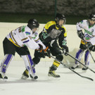IMG_1237_jpg-1358111877