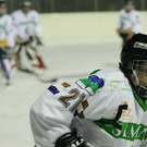 IMG_1302_jpg-1358112084