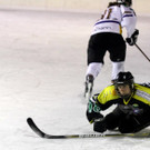 IMG_1323_jpg-1358112172