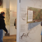 DSCN1568_JPG-1358116986