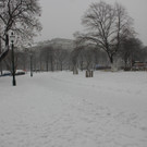 IMG_7837.JPG