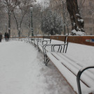 IMG_7838.JPG