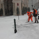 IMG_7840.JPG