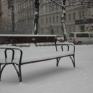 IMG_7842.JPG