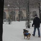 IMG_7843.JPG