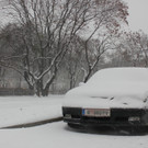 IMG_7844 _2_.jpg