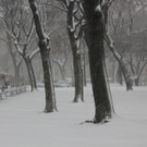 IMG_7845.JPG