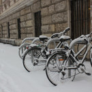 IMG_7849.JPG