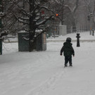 IMG_7852.JPG