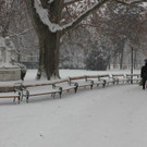 IMG_7853.JPG