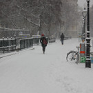 IMG_7854.JPG