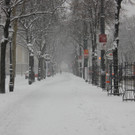IMG_7855.JPG