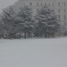 IMG_7858.JPG