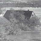 H__user_JPG-1358153182