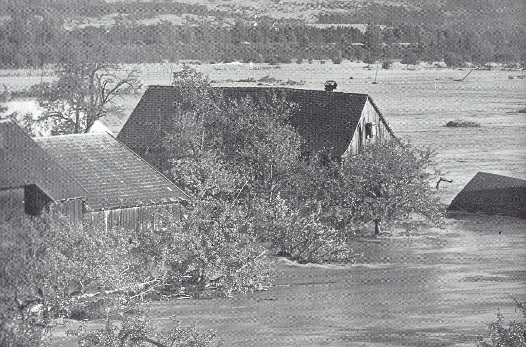 H__user_JPG-1358153182