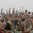 DAB4495-20130114.jpg