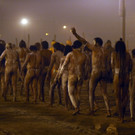 DAB4318-20130114.jpg
