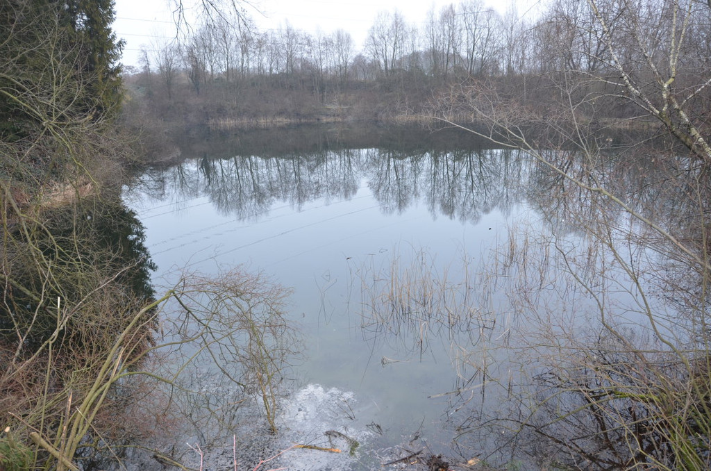Sauwinkel01.JPG