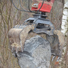 Sauwinkel16.JPG