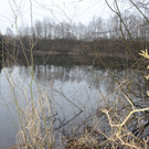 Sauwinkel21.JPG