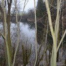 Sauwinkel34.JPG