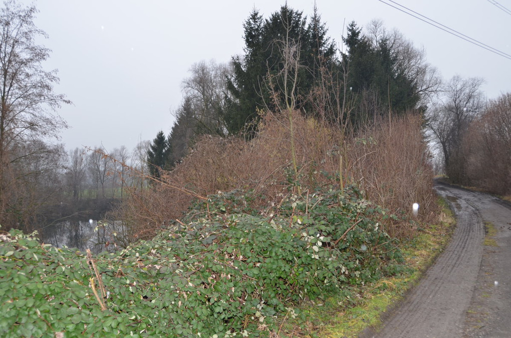 Sauwinkel57.JPG