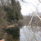 Sauwinkel77.JPG