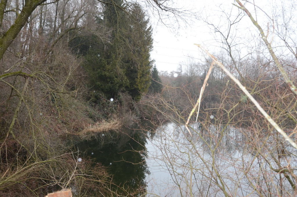 Sauwinkel77.JPG