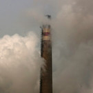 IBD0975-20130114.jpg