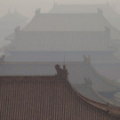 DAB1366-20130113.jpg