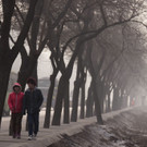 IBD0555-20130114.jpg
