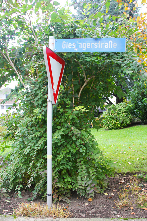 Giesingerstra__e_1_JPG-1358184096