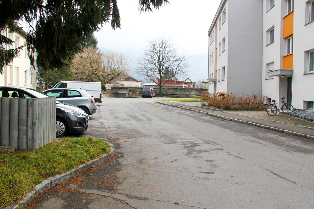 Gr__bliweg2_JPG-1358184176