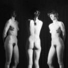 1982 Muse_jpg-1358183962
